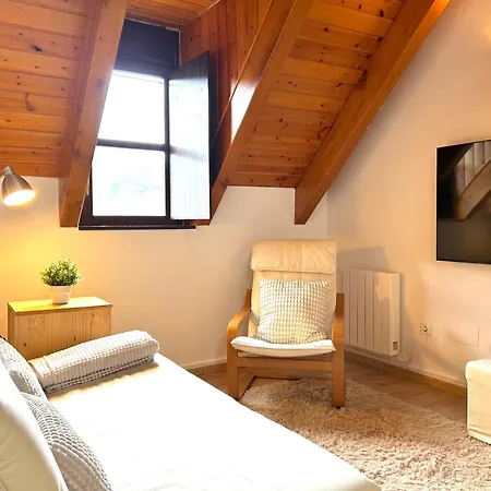Duplex Acollidor I Rustic A By Rural D'aneu Espot