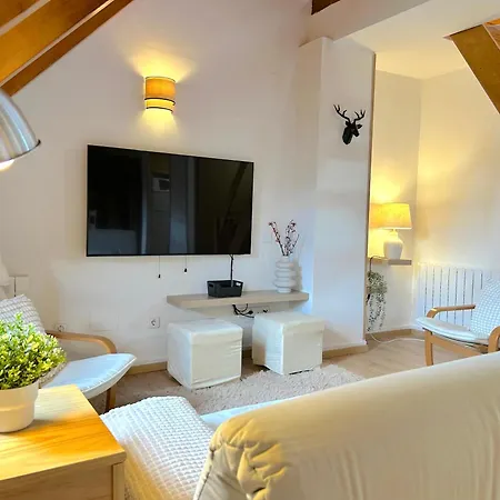 Apartment Duplex Acollidor I Rustic A By Rural D'aneu *
